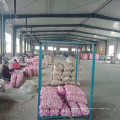 China fresh garlic supply 5.0-6.0, new season normal white garlic export